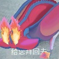 慢跑慢聊